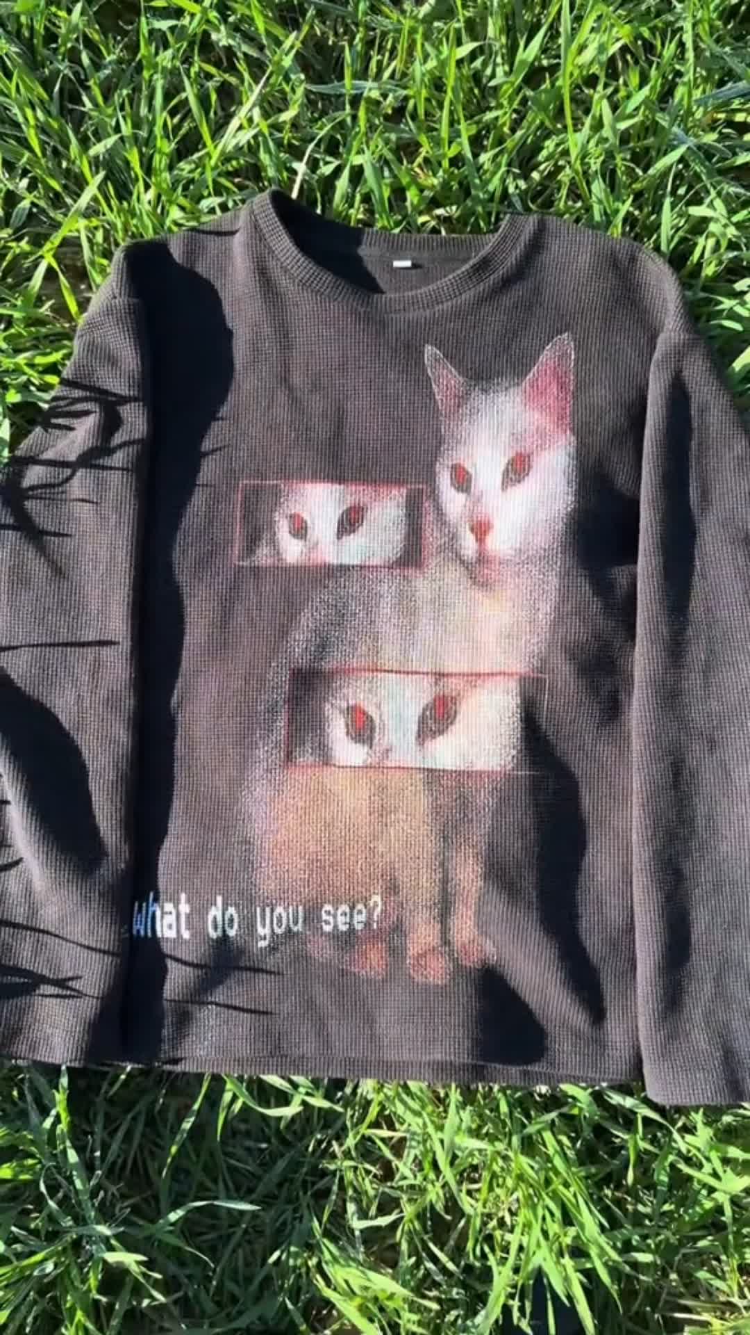 "evil cat" thermal